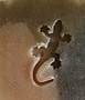 Benutzeravatar