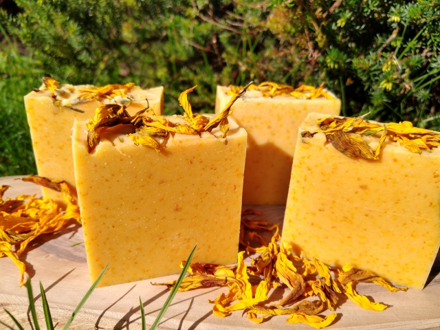 Sonnenmilch 01 verkleinert.jpg