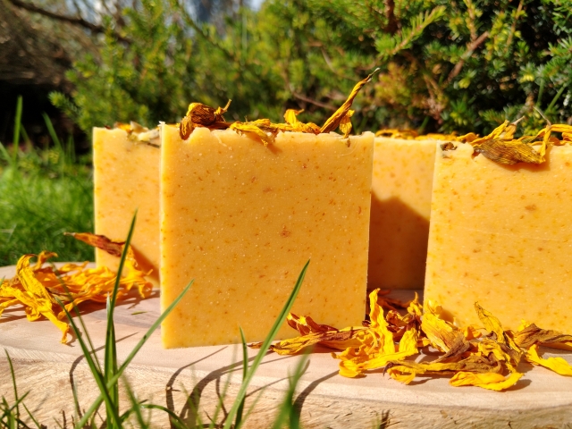 Sonnenmilch 02 verkleinert.jpg