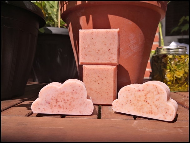 Rhabarberwurzel 1.jpg