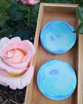 leptir 152 forum 1.jpg