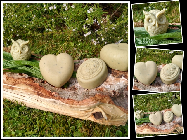 Spitzwegerich Collage verkleinert.jpg