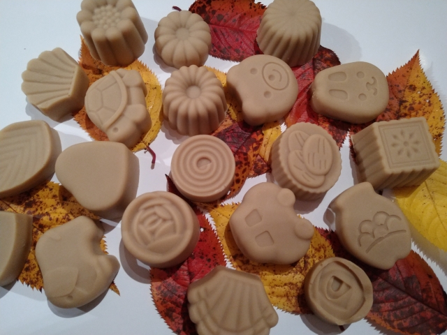 Kastanien-Spülente verkleinert.jpg