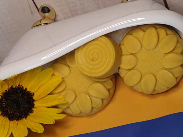 Sonnenblume 02.jpg verkleinert.jpg