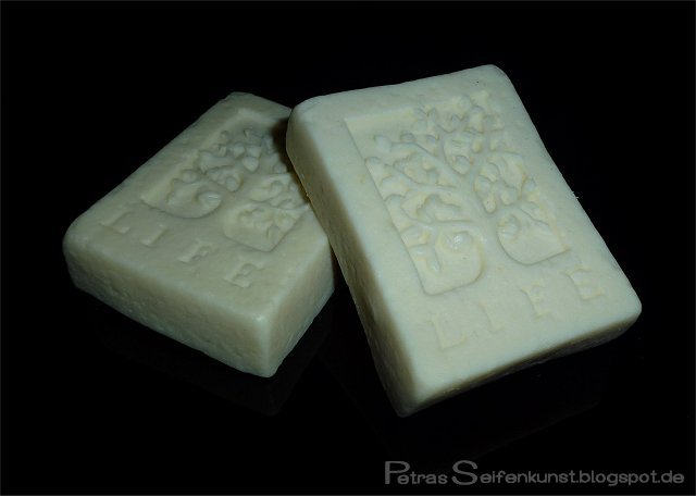 Snowangel Forum 03.jpg