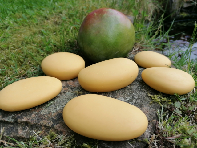 MangoSole 01.jpg verkleinert.jpg