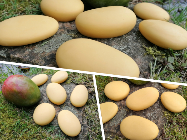 MangoSole Collage.jpg verkleinert.jpg