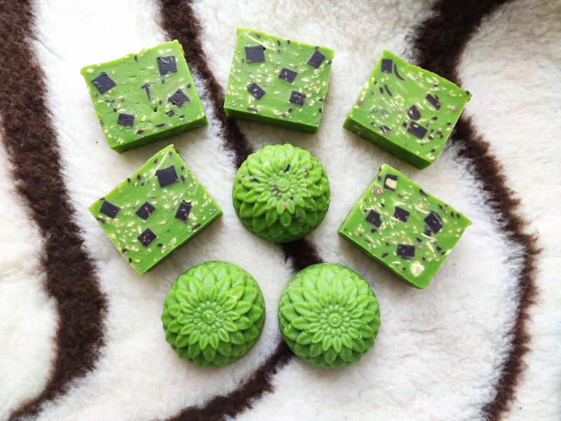 IMG_20241027_115038 (800x600).jpg