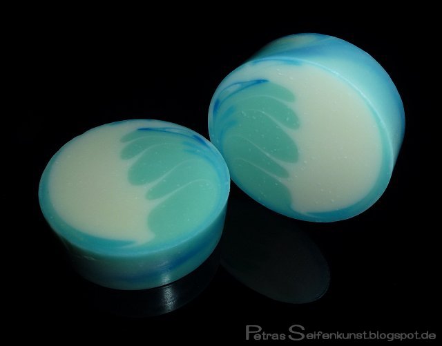 Sanfte Welle Forum 01.jpg