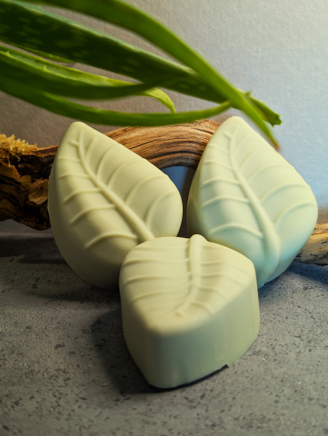 Aloe Vera 05! neu v.jpg