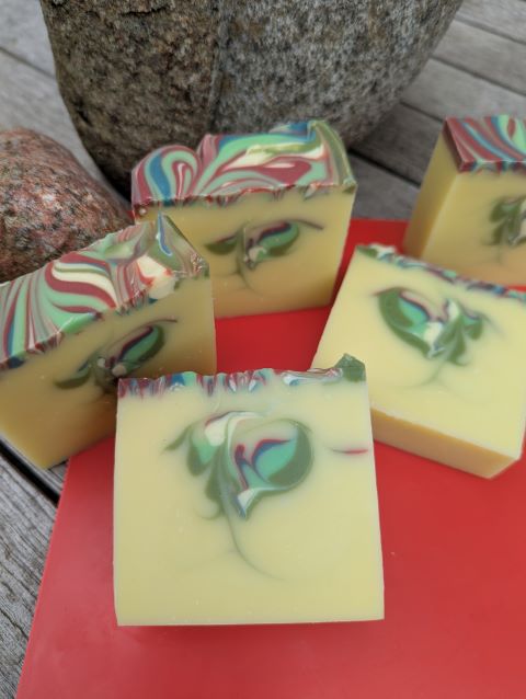 mit dem Bügel 1.jpg