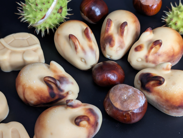 Kastanienseife Kinder 03! v.jpg