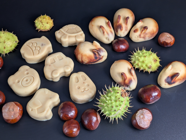 Kastanienseife Kinder alle! v.jpg