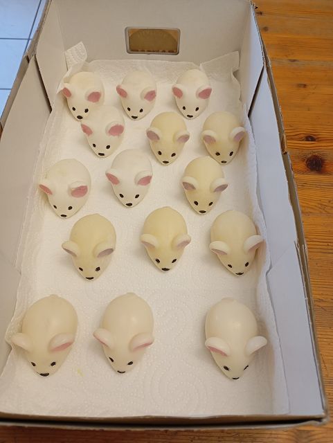 k-1588-1590 Mäuseparade 2.jpg