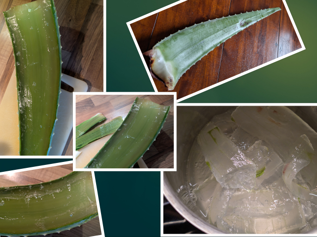 Aloegel Collage! v.jpg