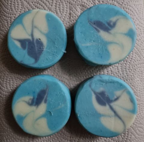 bild-077-blueberry-taiwan-tsh-07-2026.jpg