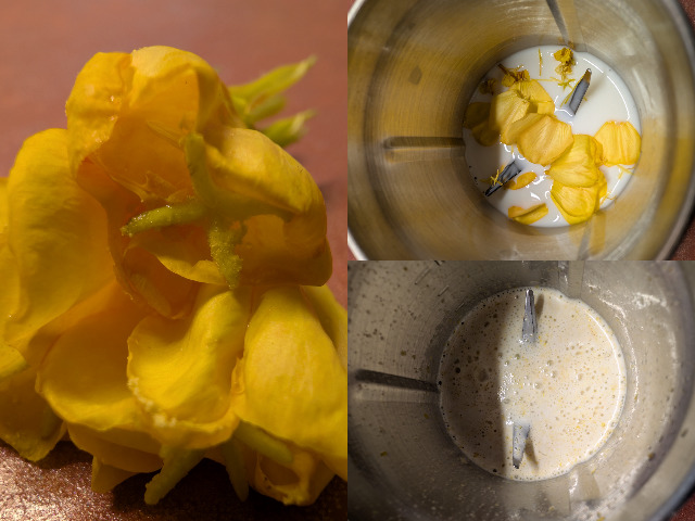 Nachtkerzenmilch Collage v.jpg