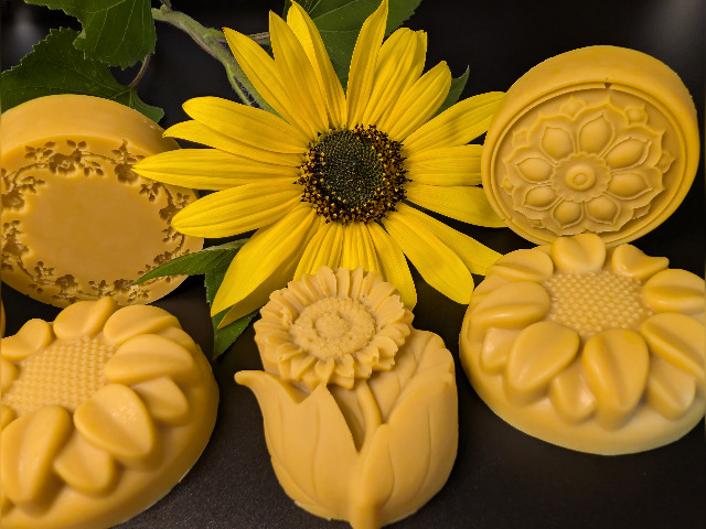 Sunflower 01 v.jpg