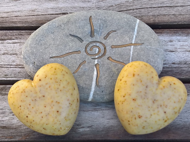 doezsmusen mermaj20190325b.jpg