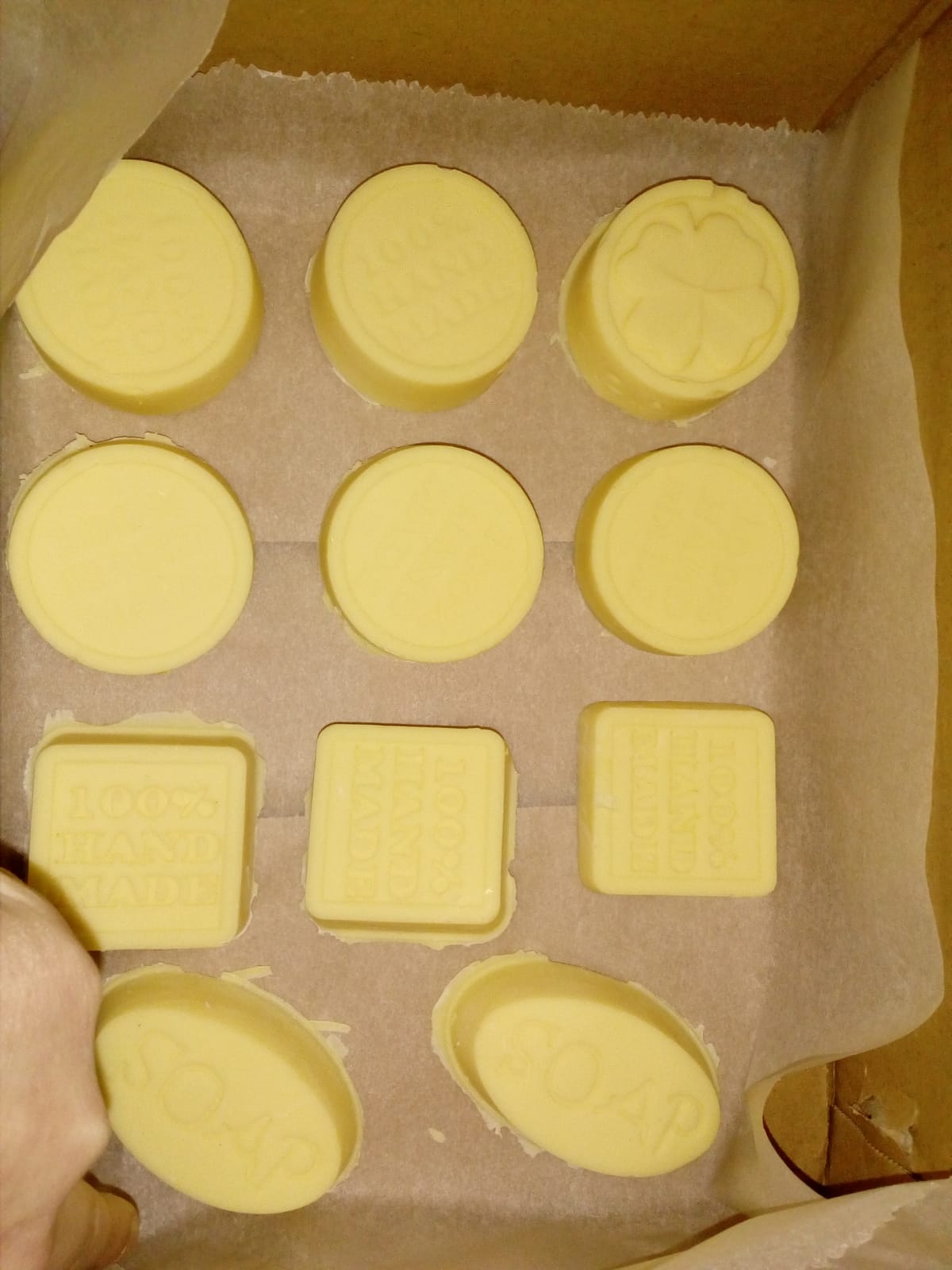 WhatsApp Image 2019-05-01 at 11.49.20.jpeg