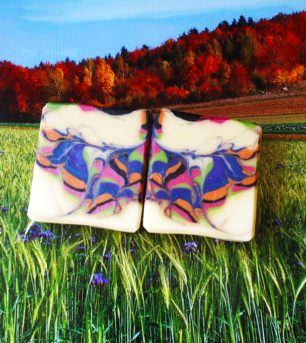 Schmetterling-2.gif
